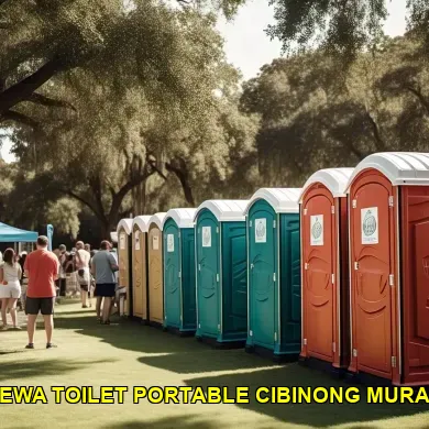 sewa toilet portable cibinong murah